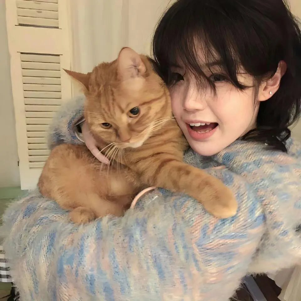 狐狸禁猎期 在线观看